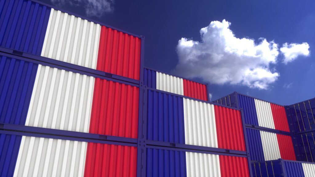 France flag containers are located at the container terminal. France export or import concept, 3d rendering.